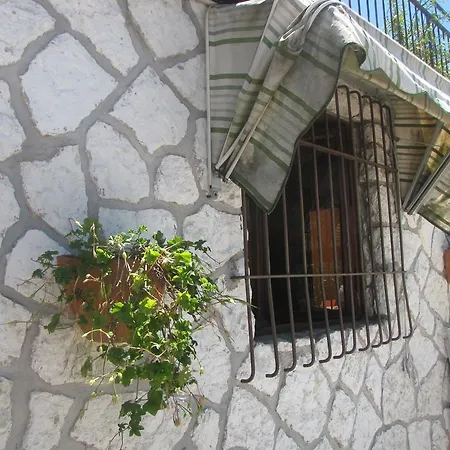 B&B Hotel Delle Rose-2